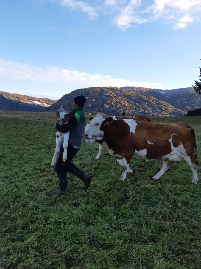 فيلا Bio Bauernhof Schoberhof Sankt Andrä im Lungau المظهر الخارجي الصورة