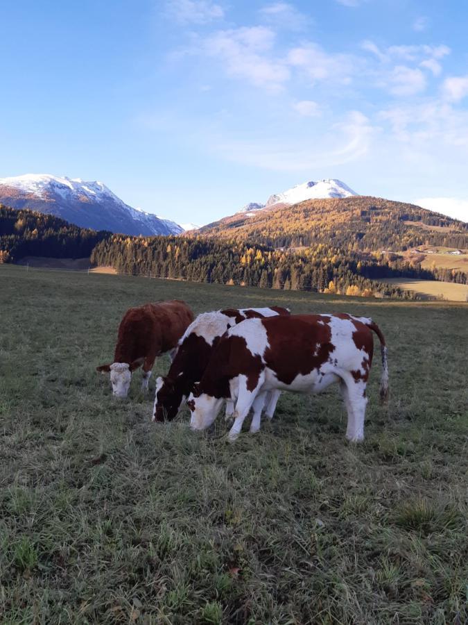 فيلا Bio Bauernhof Schoberhof Sankt Andrä im Lungau المظهر الخارجي الصورة