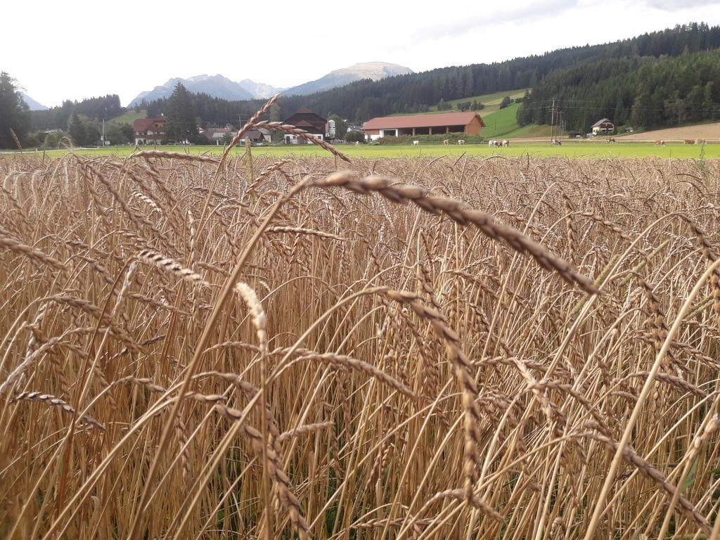 فيلا Bio Bauernhof Schoberhof Sankt Andrä im Lungau المظهر الخارجي الصورة